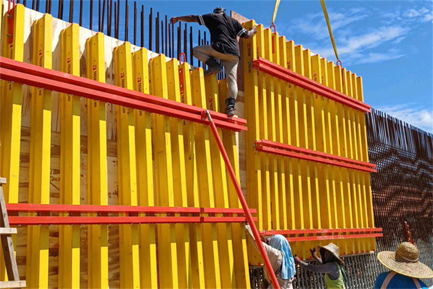 LIRON BASE 20 Wall Formwork 