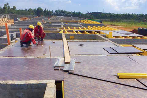 LIRON-Form Film Faced Plywood