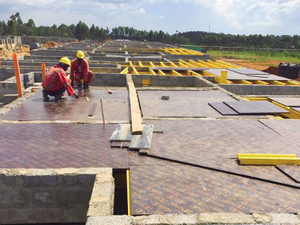 Housing Project