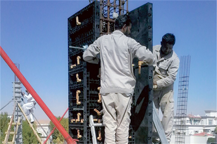 LIRON Adjustable Plastic Column Formwork 